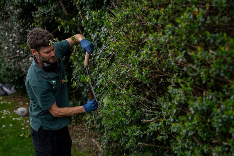 Kawaha Point mowing services near me