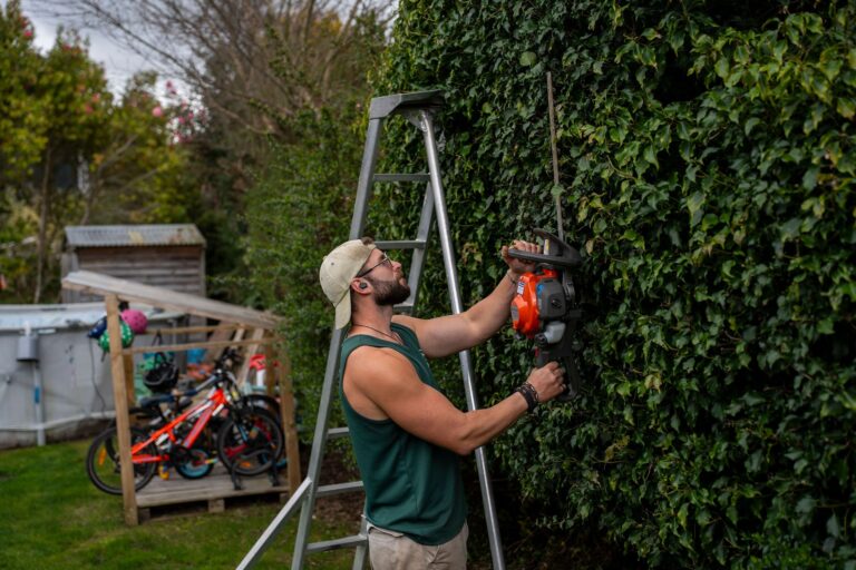 lawn services Rotorua