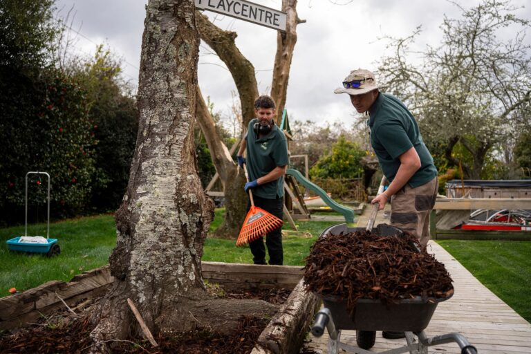 lawn mowing services Ngongotahā