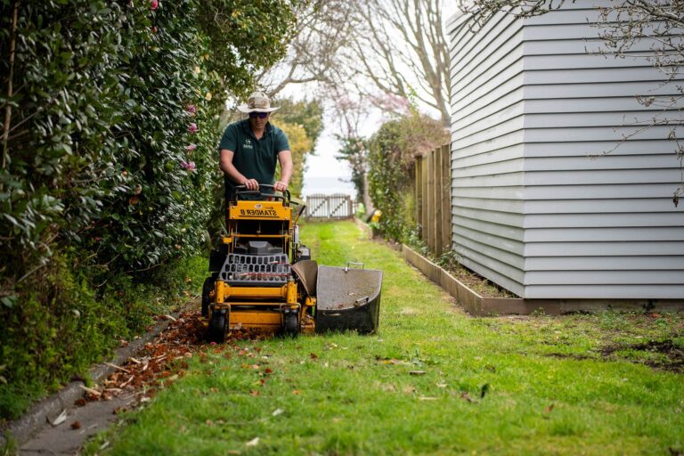 Garden Care in Progress