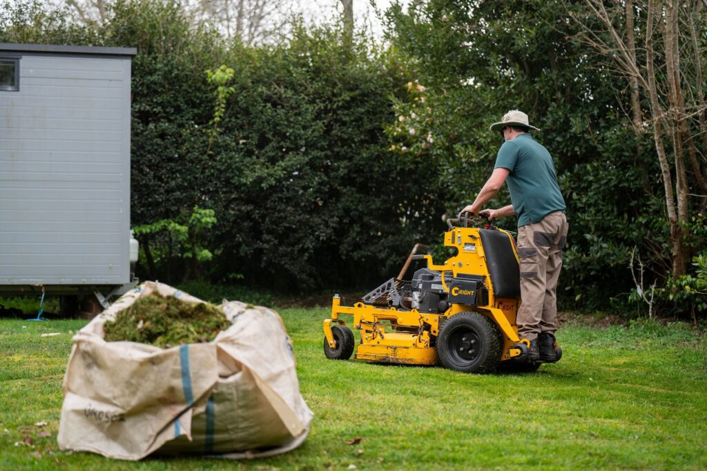 lawn care and maintenance