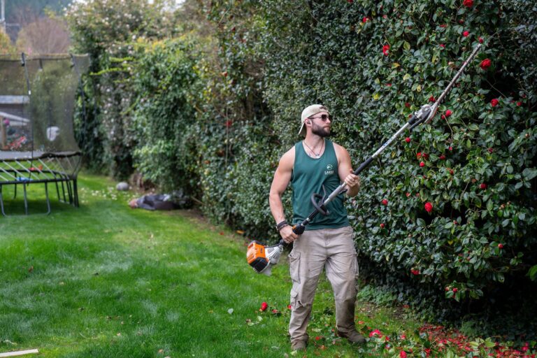 hedge trimming services near me