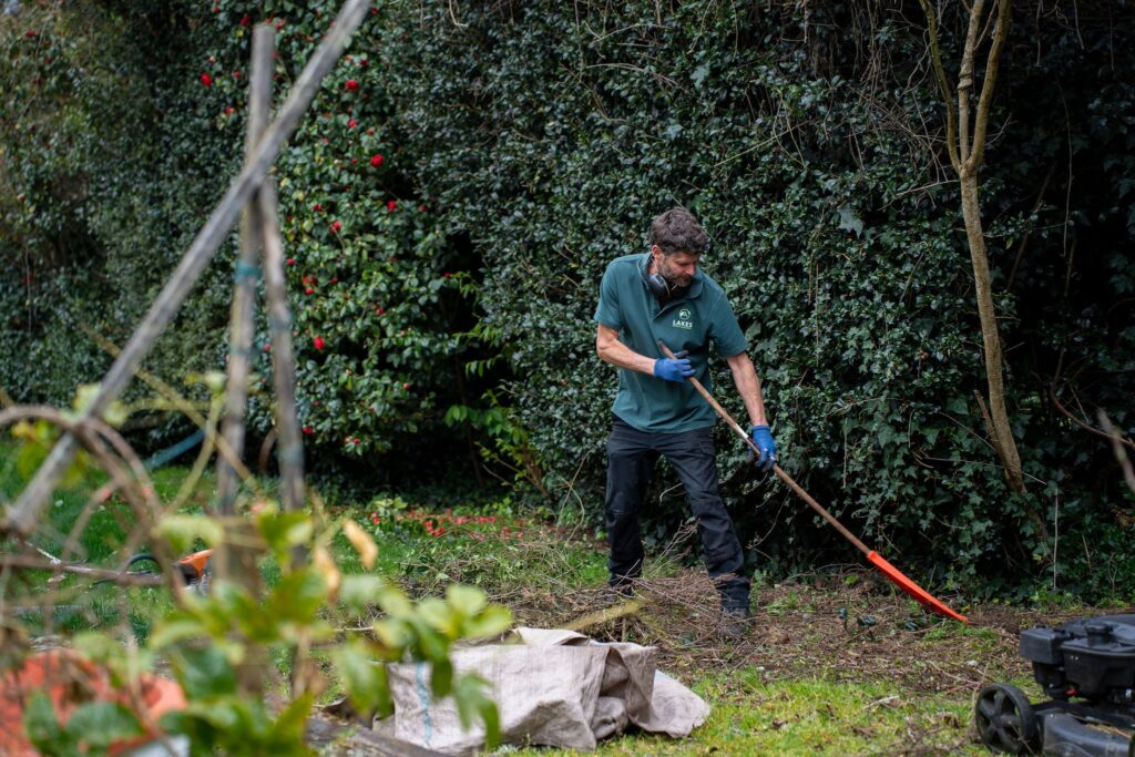 garden clean-up services near me