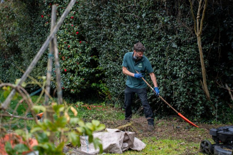 garden clean-up services near me