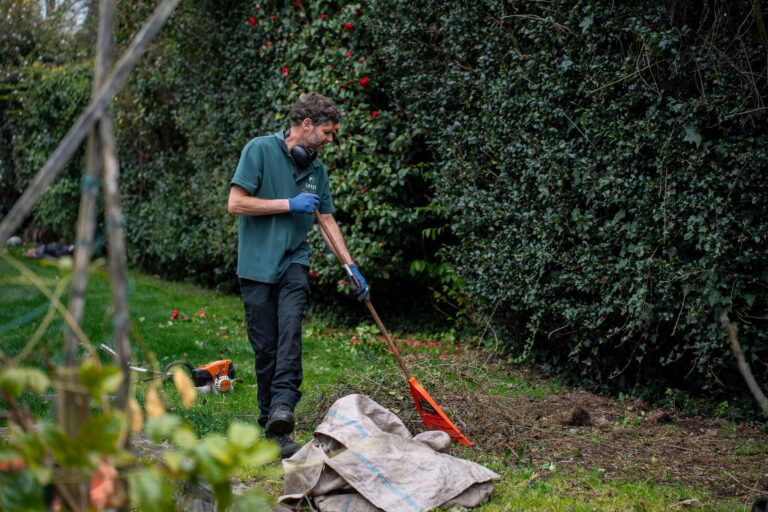 garden clean up services near me