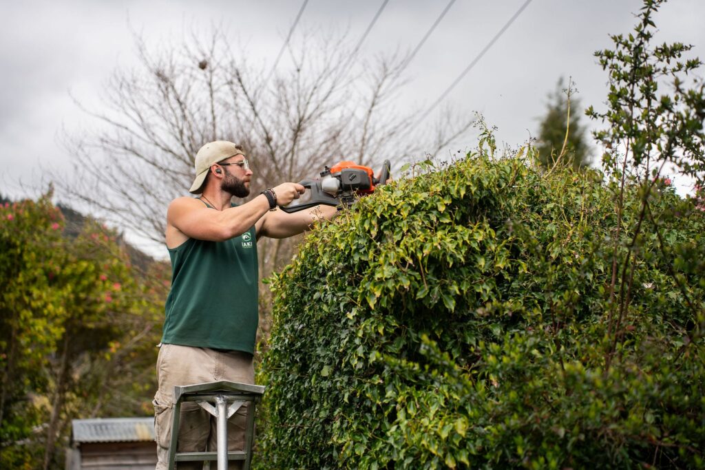 lawn company comparison