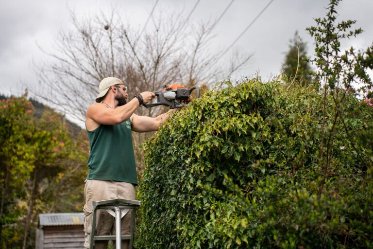 hedge trimming services near me