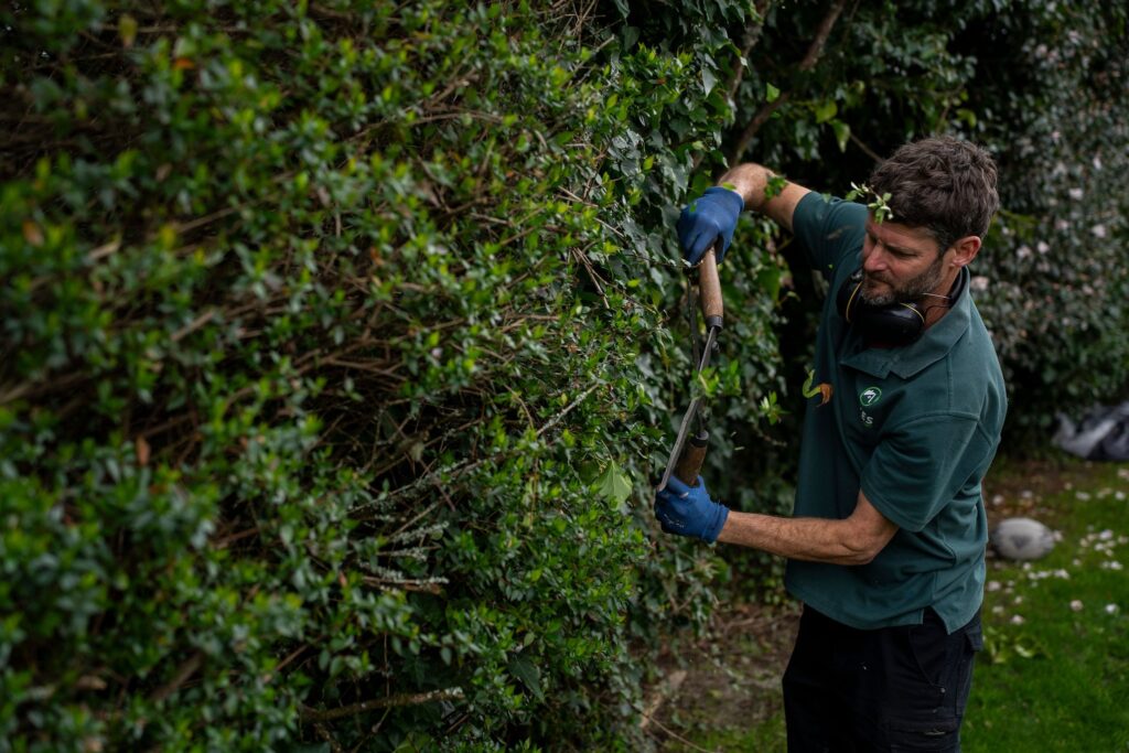 gardening services near me