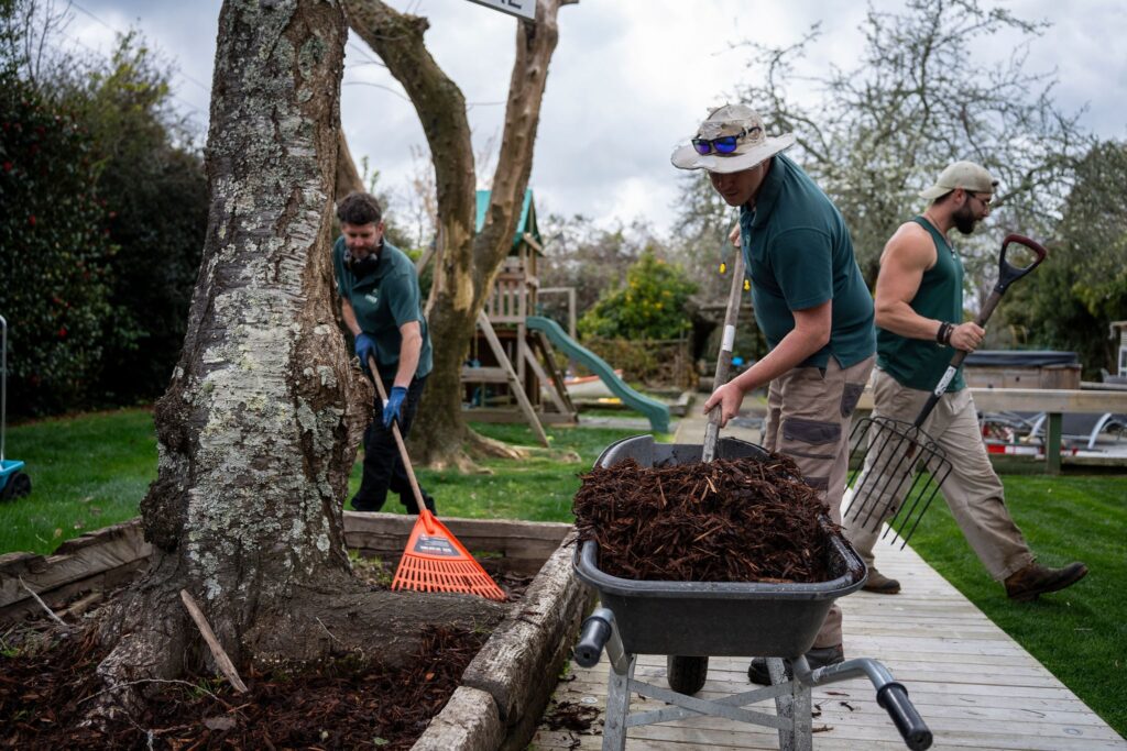 handyman for yard work near me