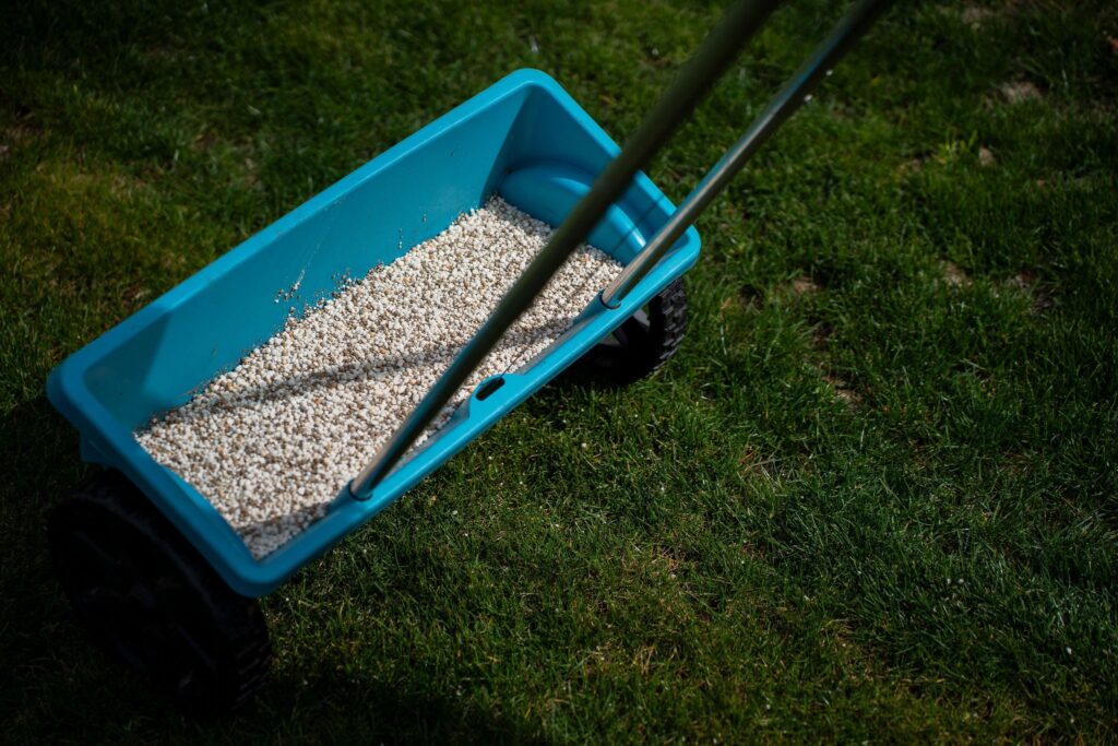 best time to fertilize your lawn