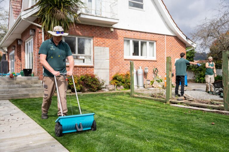 lawn care and maintenance