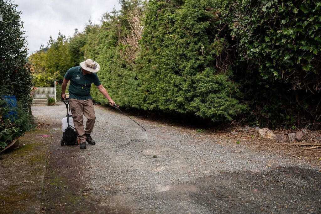 lawn mowing Pukehangi