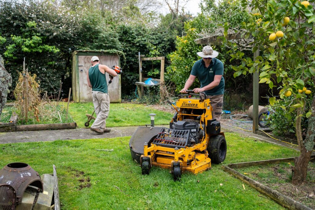 local lawn care services