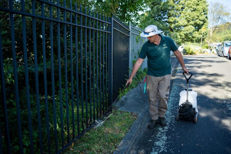 lawn-mowing-service-near-me-55